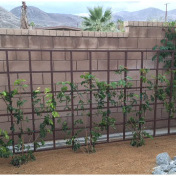 5' x 12' Grid trellis with 3" square posts.