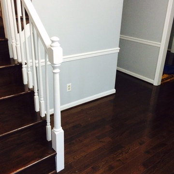 Our Work