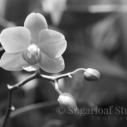 05_Black and White - Products