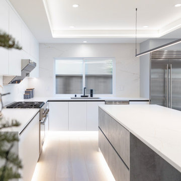 Project_Kitchen_Nano White SM_Evaporation__Loft Space_Carbon