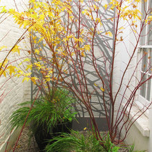 Exterior Ideas