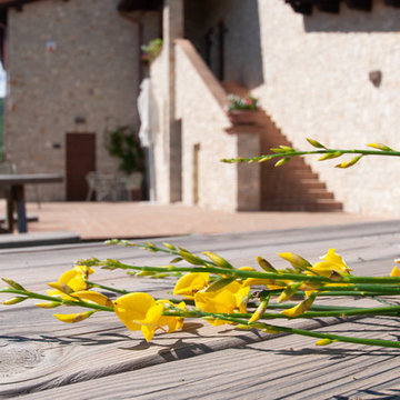 Tenuta Il Molino Verde, struttura turistico ricettiva