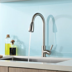 Concordia Brushed Nickel Single Handle Kitchen Sink Faucet with Pull Down Spraye - Kitchen Faucets
