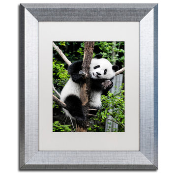 Philippe Hugonnard 'Giant Panda II' Art, Silver Frame, White Matte, 14"x11"