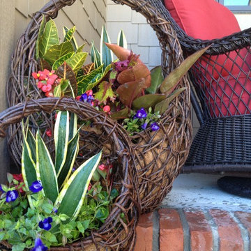 Summer Containers