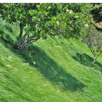 CONTEMPORARY HILLSIDE GARDEN