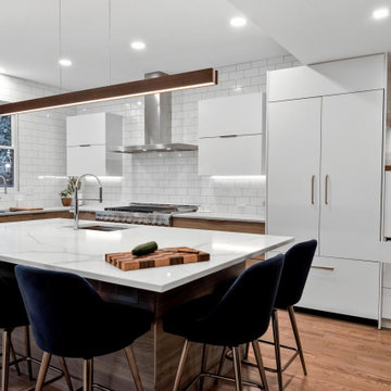 Mid-Century Modern Ktichen
