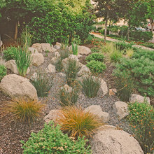 Dry Creek Bed