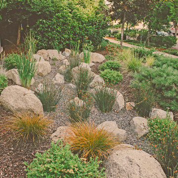 Dry Creek Bed