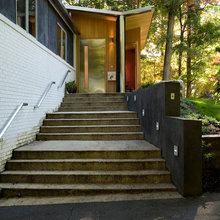 Treehouse Entry