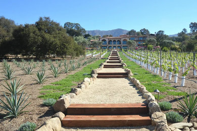 Photo of a huge traditional drought-tolerant and full sun hillside gravel garden path in Santa Barbara.