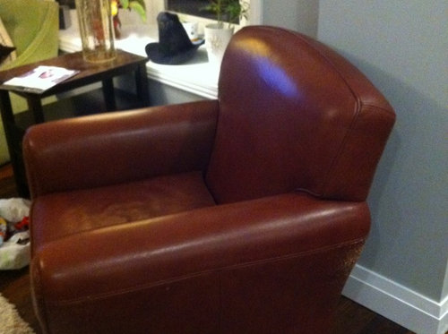 softpaws chair
