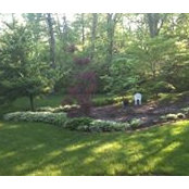 Arlene Tuttle's photo