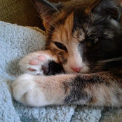 Alissa Davalos's photo