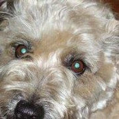 Foto de Judy McHugh-rauh

