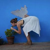 Marij Schatt's photo