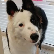 Foto von Irene Mascella