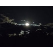 Jackie MacLeod's photo