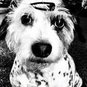 Marisa Marino's photo