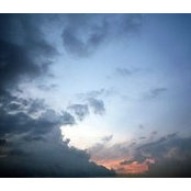 Mohd Ferdauz's photo