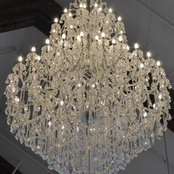 Roxanne Rasmussen's photo