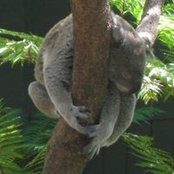 Kay Hanvey's photo