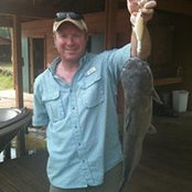 Todd Airhart's photo