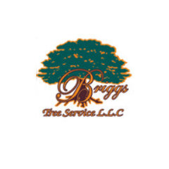 Briggs Tree Service LLC