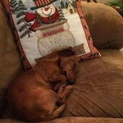 Kim Jones's photo