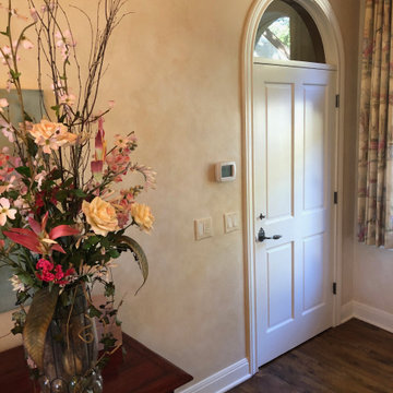 Provencal Plaster