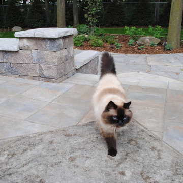 IDEAL Landscape Services friends
