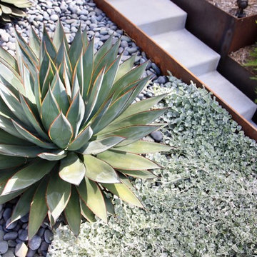 Planting Design