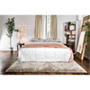 Furniture of America Polosa Transitional Metal Cal King Bed Frame in Silver