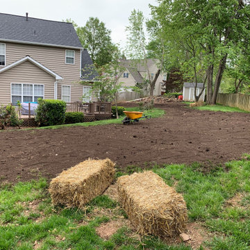 Lawn renovation