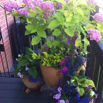 Our Work