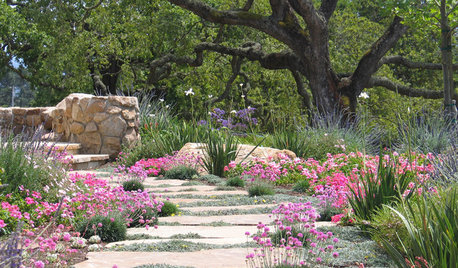 7 Laws of Xeriscaping Explained: All You Need to Know