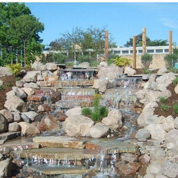 Our Work