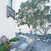 3200 backyard