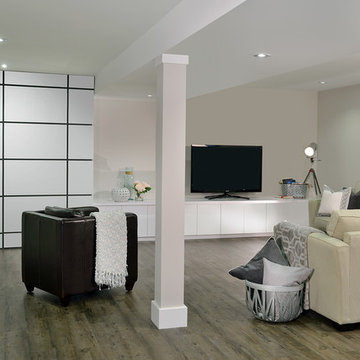 Basement, Mississauga