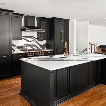 Modern Whole House Remodel