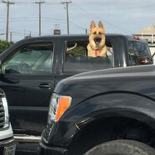 Security System