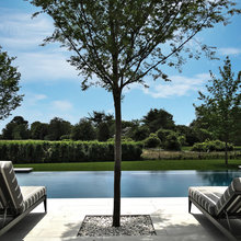 Landscape Ideas