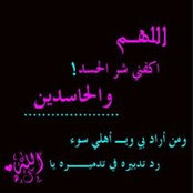 Foto von Shadi Yousef