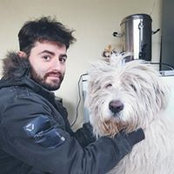 Razvan Savuさんの写真