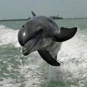 Judy White's photo