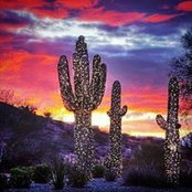 Rachelle Miller's photo