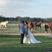 Debbie Hammons's photo