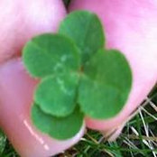 Patty Scott's photo