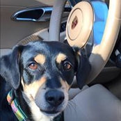 Carrie Elisius's photo