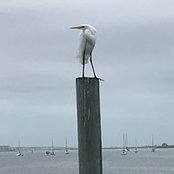 Jim Mankopf's photo